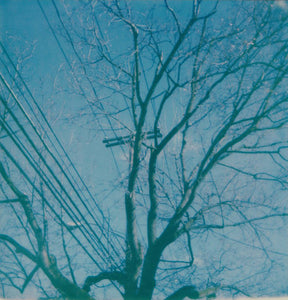 telephone wires - 5x5.2 / No Frame / No Mat